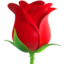 rose 🌹