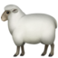 🐑