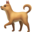 dog2 🐕