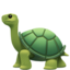 turtle 🐢