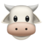 cow 🐮