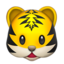 tiger 🐯
