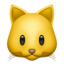 cat 🐱