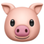 🐷