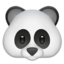 🐼