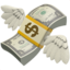 money_with_wings 💸