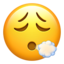 face_exhaling 😮💨