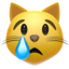 crying_cat_face 😿