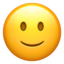 slightly_smiling_face 🙂