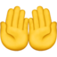 palms_up_together 🤲