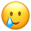 smiling_face_with_tear 🥲
