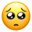 pleading_face 🥺