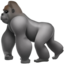 gorilla 🦍