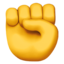 fist ✊